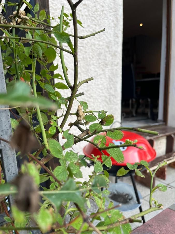 Alpina Haus Apartment Oberammergau Ngoại thất bức ảnh
